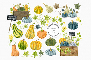 Watercolor Fall Pumpkin & Gourd Set