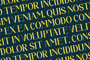 Auronix, a Serif Font by Rishsketch (Thumbnail 11 of 15)