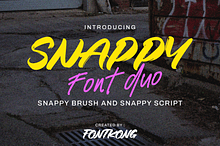 Snappy Font Duo – Brush and Script