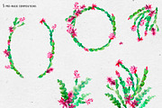 Watercolor Thanksgiving cactus, an Illustration by Belusuab (Thumbnail 3 of 14)