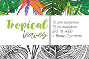 Detailed tropical leaves & Patterns, a Decorative Illustration by NKTKNS (Thumbnail 1 of 5)