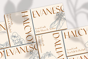 Grandley Sans Serif Font, a Font by Evoke Type Studio (Thumbnail 2 of 15)