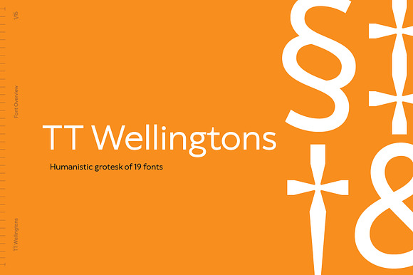 Tt Wellingtons preview 2