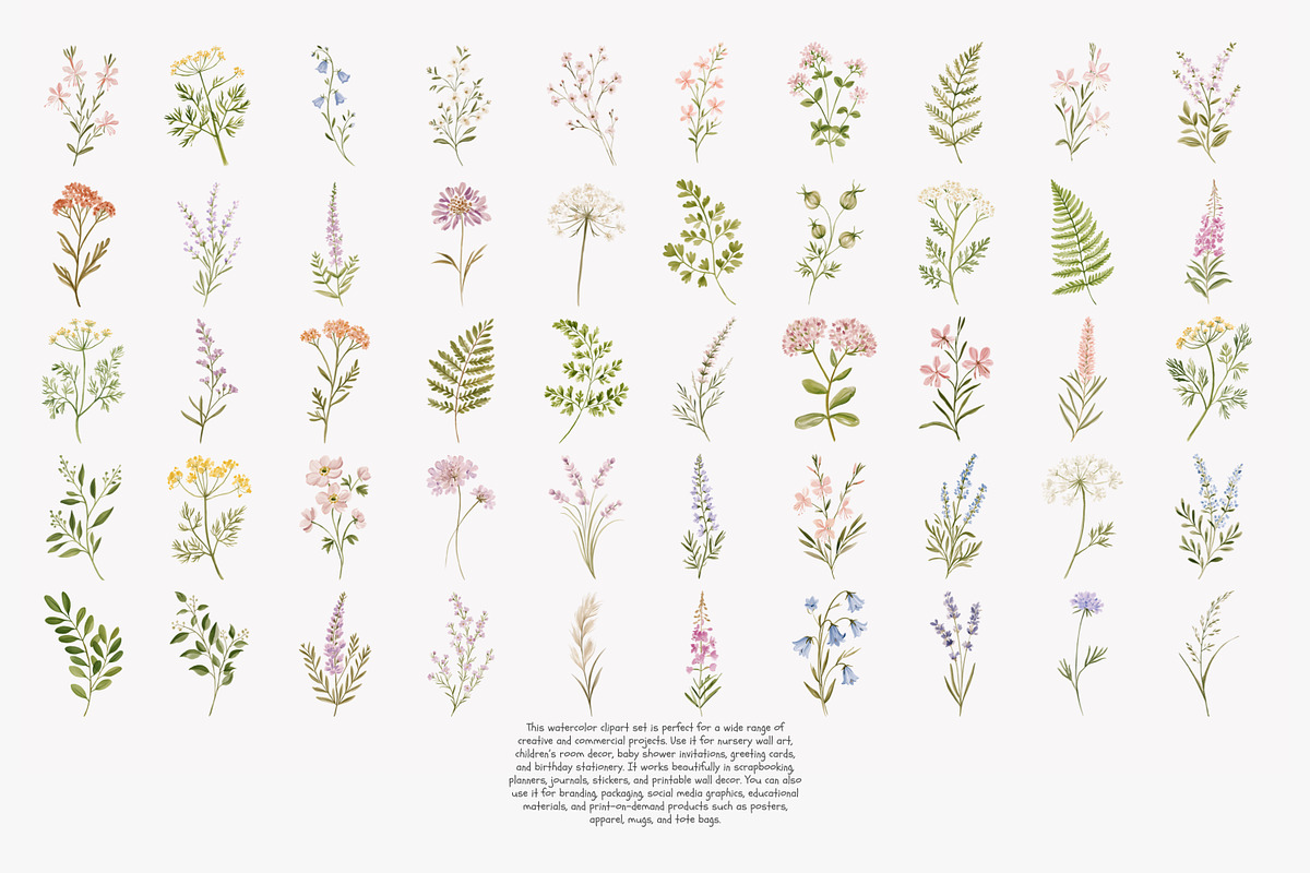 a wildflower meadow clipart set, a Decorative Illustration by Patishop Art (Photo 12 of 12)