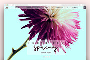 Galata Fonts & Extras, a Script Font by Yasir Ekinci (Thumbnail 10 of 15)