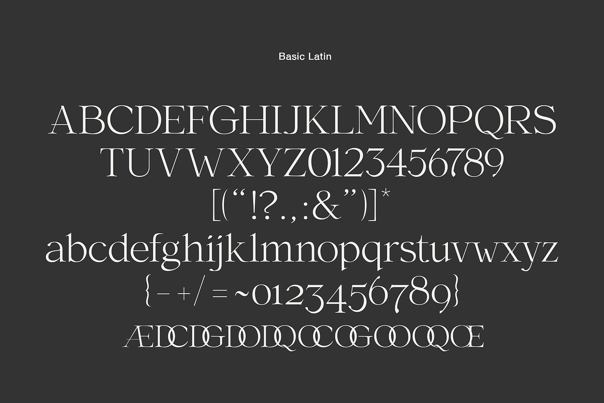 Aesthetic sE, a Serif Font by silukEight (Photo 2 of 10)