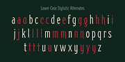 Herschel, a Serif Font by Tried & True Supply Co. (Thumbnail 11 of 16)