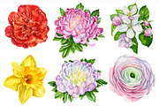 Beautiful bouquet of flowers, a Decorative Illustration by Hanna Hryharenka (Thumbnail 9 of 10)