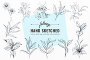 Foliage Hand Drawn, an Object Graphic by Solana (Thumbnail 1 of 3)