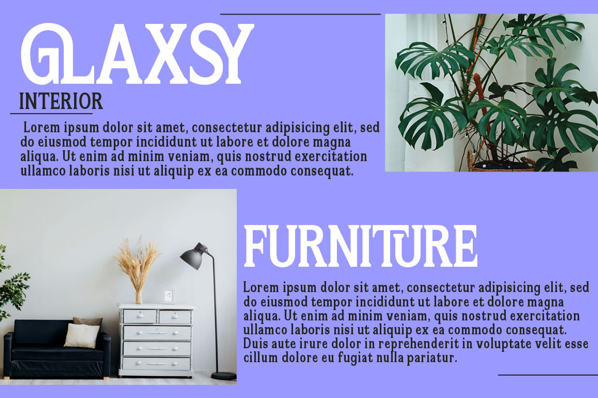 Flektura, a Serif Font by Propertype (Photo 3 of 10)