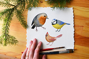 Birds Watercolor Clipart, an Animal Illustration by WatercolorWind (Thumbnail 3 of 3)