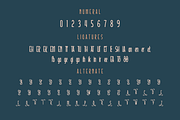 Atoverz – Retro Condensed Font, a Sans Serif Font by twinstd (Thumbnail 11 of 13)