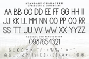 Natural Story, a Sans Serif Font by FreshTypeINK (Thumbnail 7 of 8)