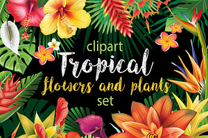 Tropical Flowers