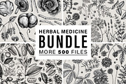 BUNDLE - Herbal Medicine Vectors, a Healthcare Illustration by Yevheniia (Thumbnail 1 of 5)