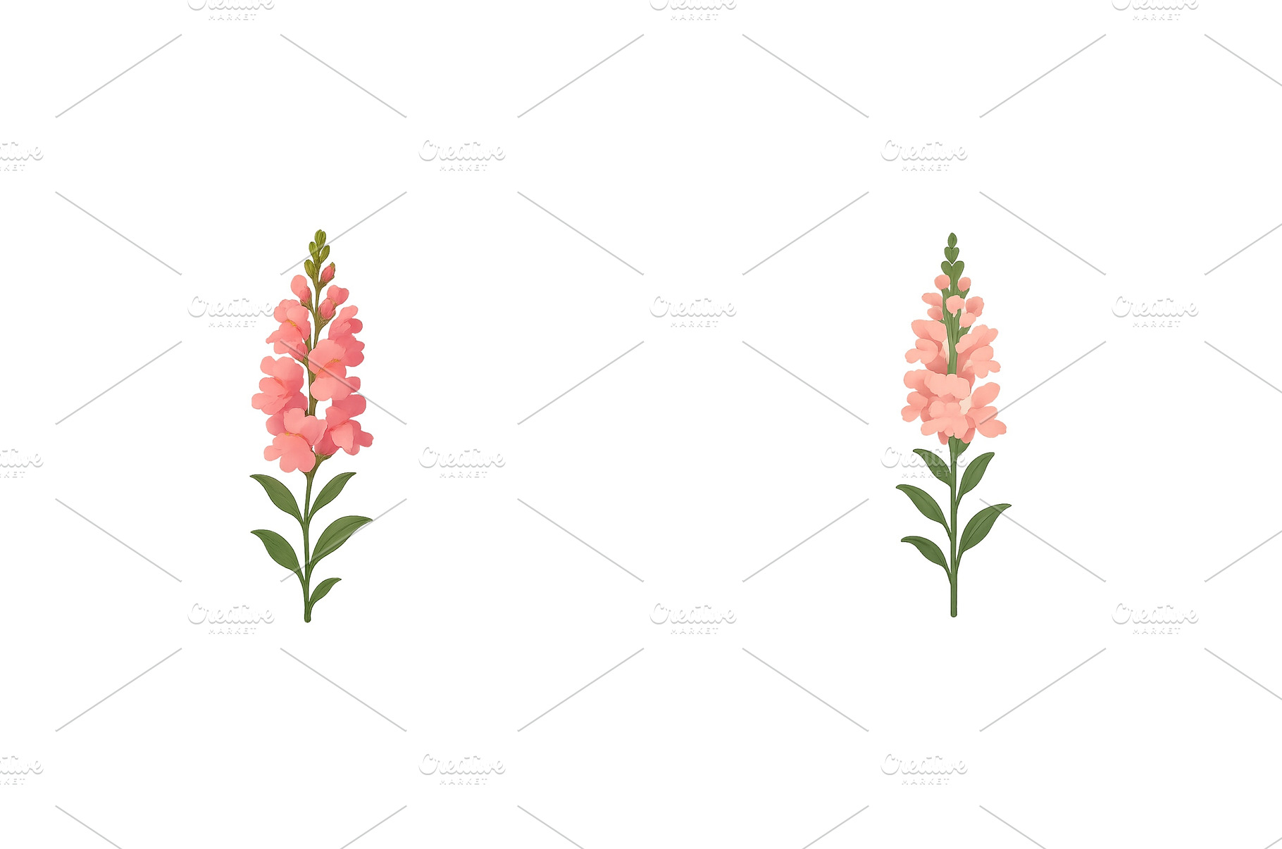 Beautiful pink flowers with green, a Nature Photo by ZinetroN