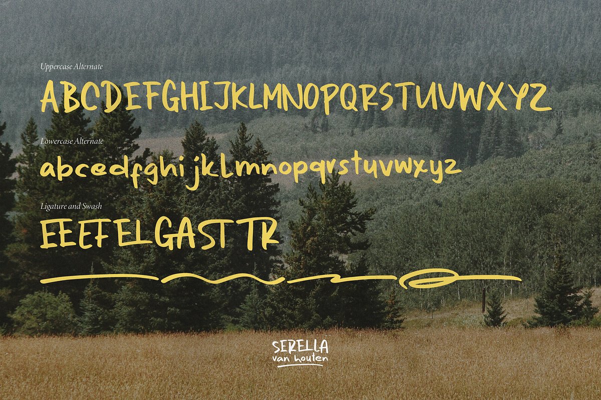 Serella van Houten | Hand Drawn Font, a Handwritten Font by Denustudios (Photo 15 of 15)