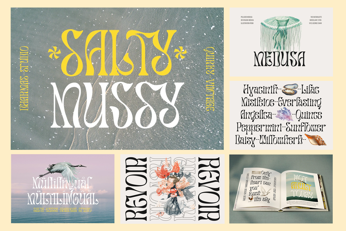 Retro Bundle Collection V2 - 99% OFF, a Serif Font by Dharmas Foundry (Photo 15 of 21)