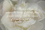 The Blooming Hour Botanical Script, a Script Font by AnMark (Thumbnail 8 of 12)