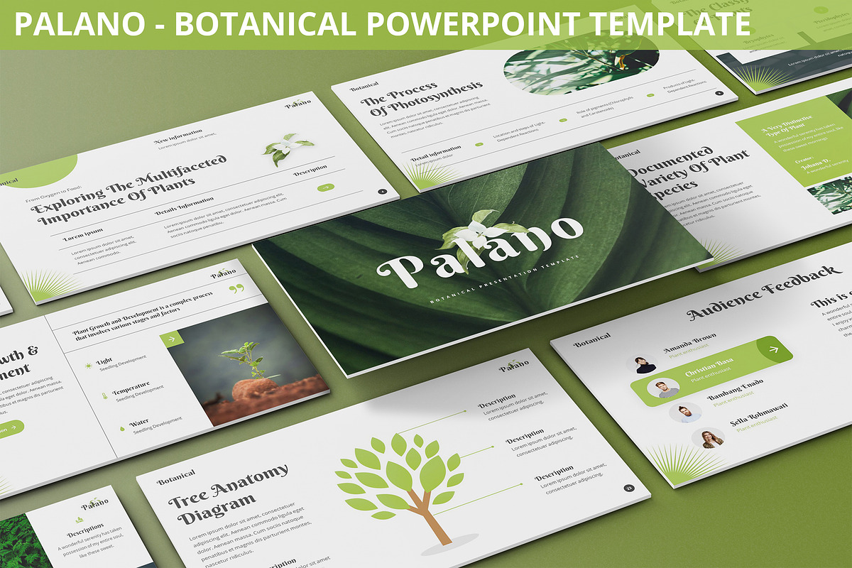 Palano - Botanical Powerpoint, a Presentation Template by SlideFactory (Photo 1 of 4)