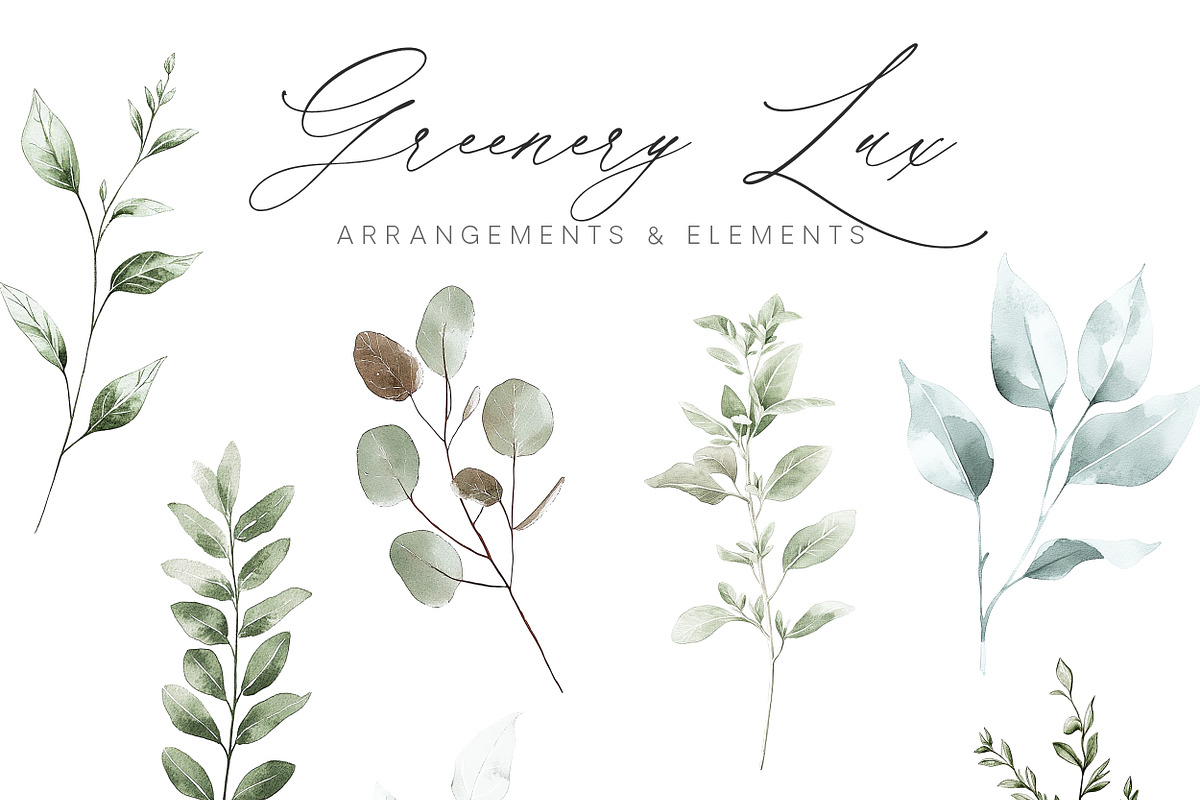 New! Timeless Library Edition, a Graphic by Isabelle Salem (Photo 70 of 211)