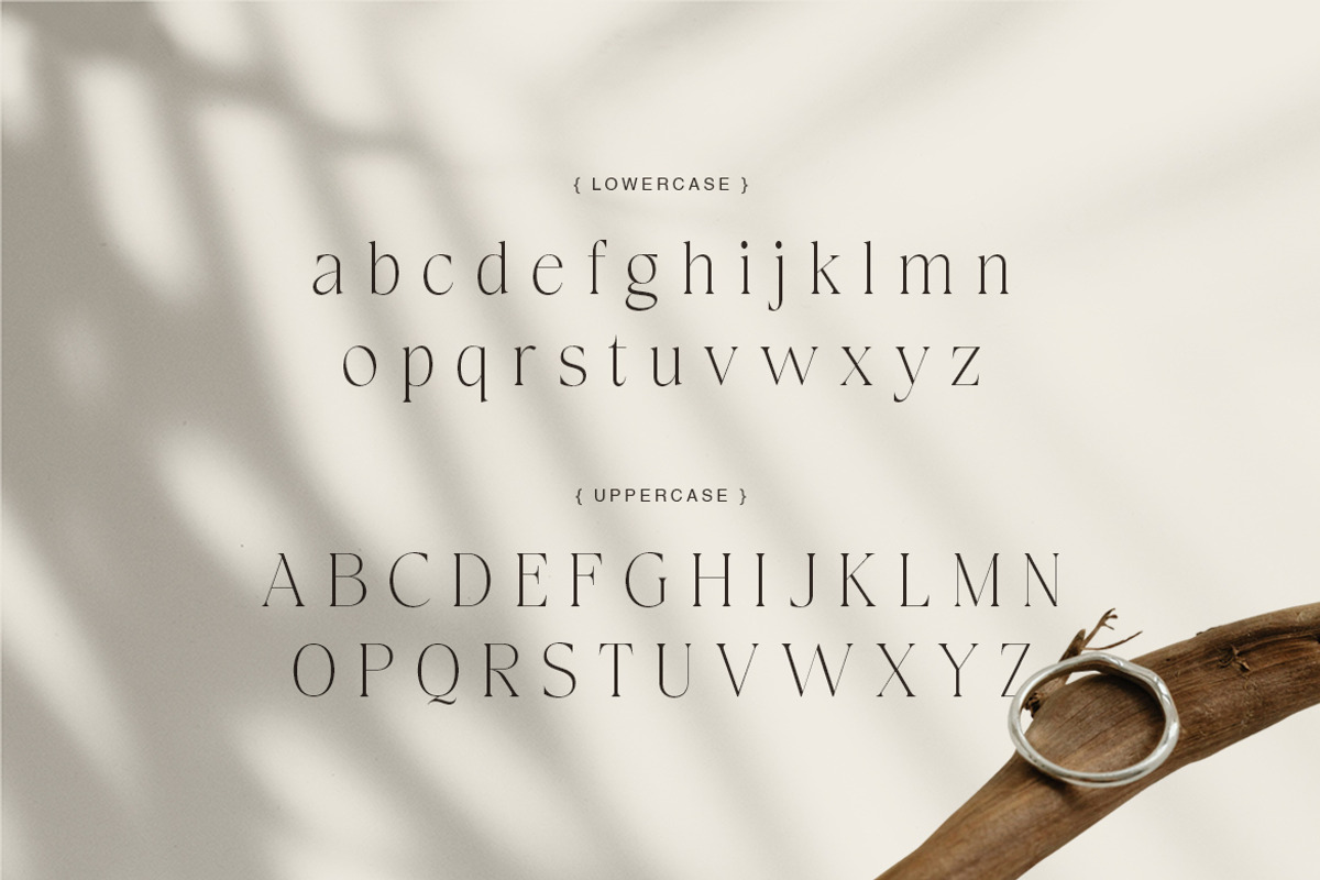 Carolan Elegant Display Serif, a Serif Font by Creatype Studio (Photo 6 of 10)