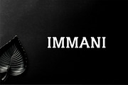 Immani 2 Font Family Pack, a Serif Font by Creativetacos (Thumbnail 1 of 5)