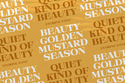 Evorine Stylish Serif, a Serif Font by Letterhend Studio (Thumbnail 6 of 11)