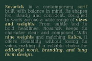 Novarick, a Serif Font by din-studio.com (Thumbnail 2 of 16)