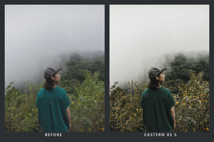 Cedar Lightroom Presets & LUTs