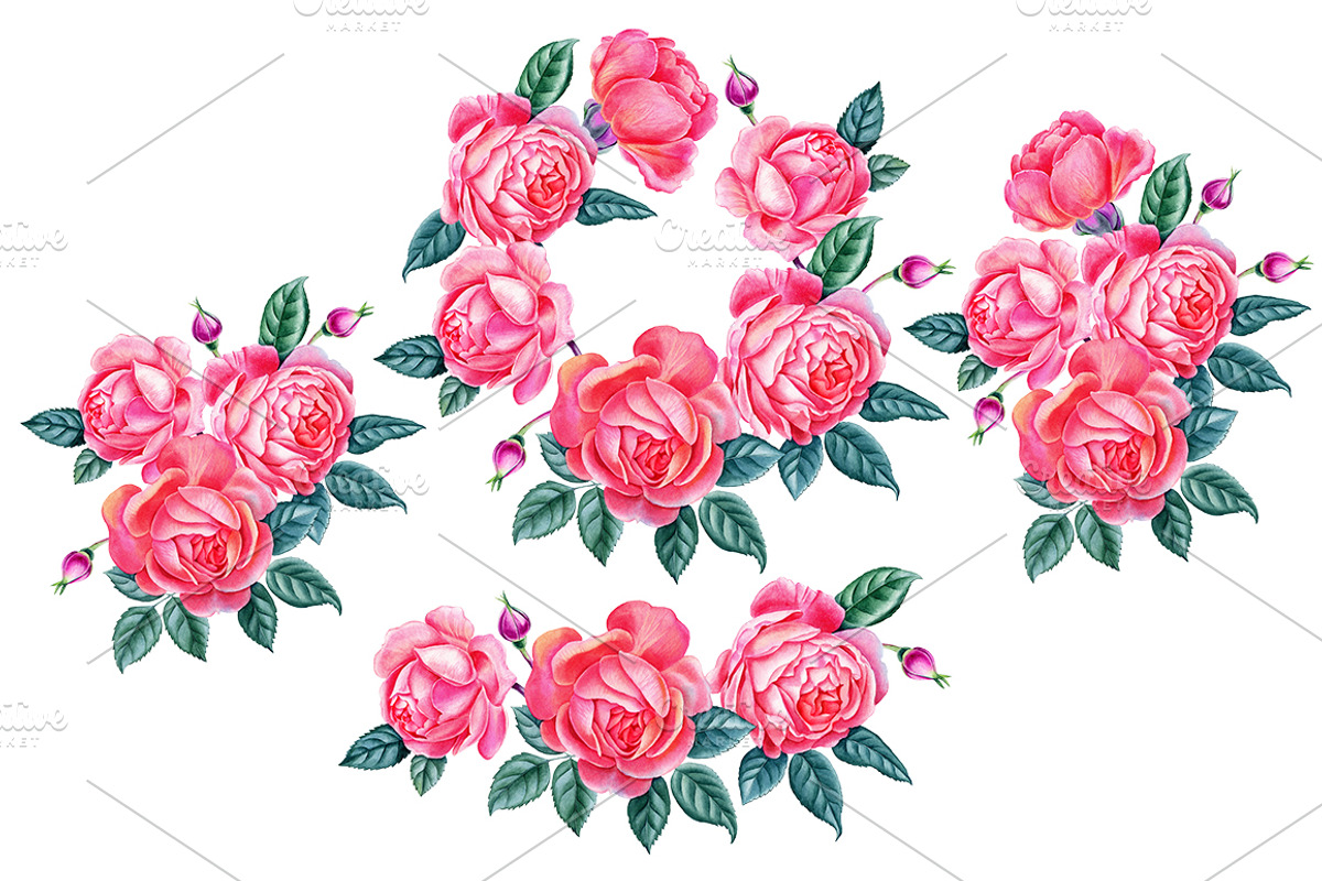 Roses, an Illustration by Watercolor life (Photo 5 of 6)