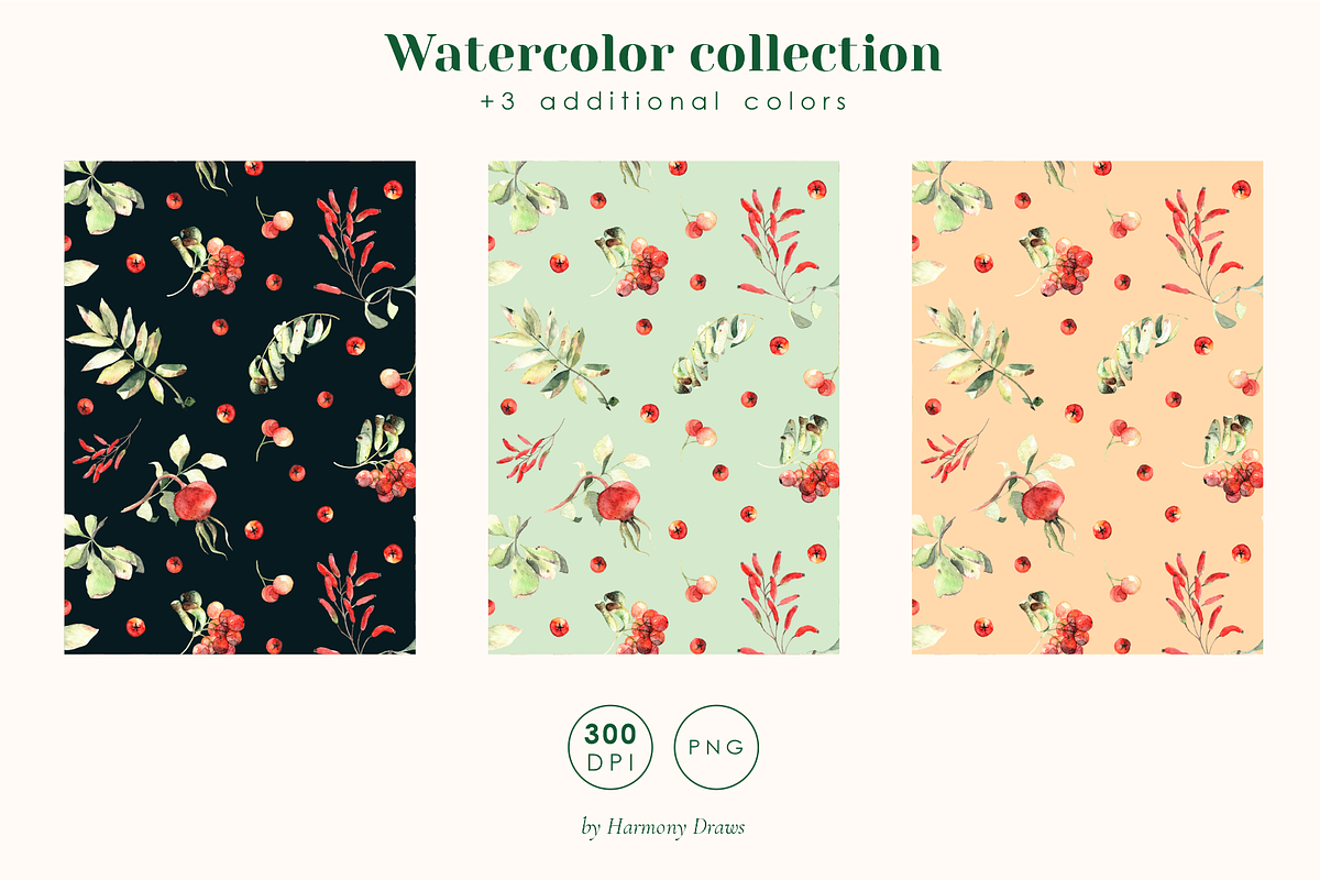 Watercolor rowanberry autumn clipart, a Seasonal Illustration by Harmony Draws (Photo 7 of 8)