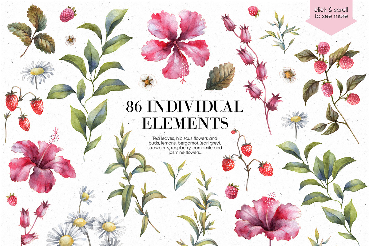 HERBAL TEA. Watercolor illustrations, a Decorative Illustration by Anastasia Koba (Photo 3 of 10)