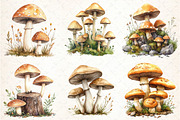 Watercolor Mushroom Clipart bundle, an Illustration by DreamCafeArt (Thumbnail 2 of 9)