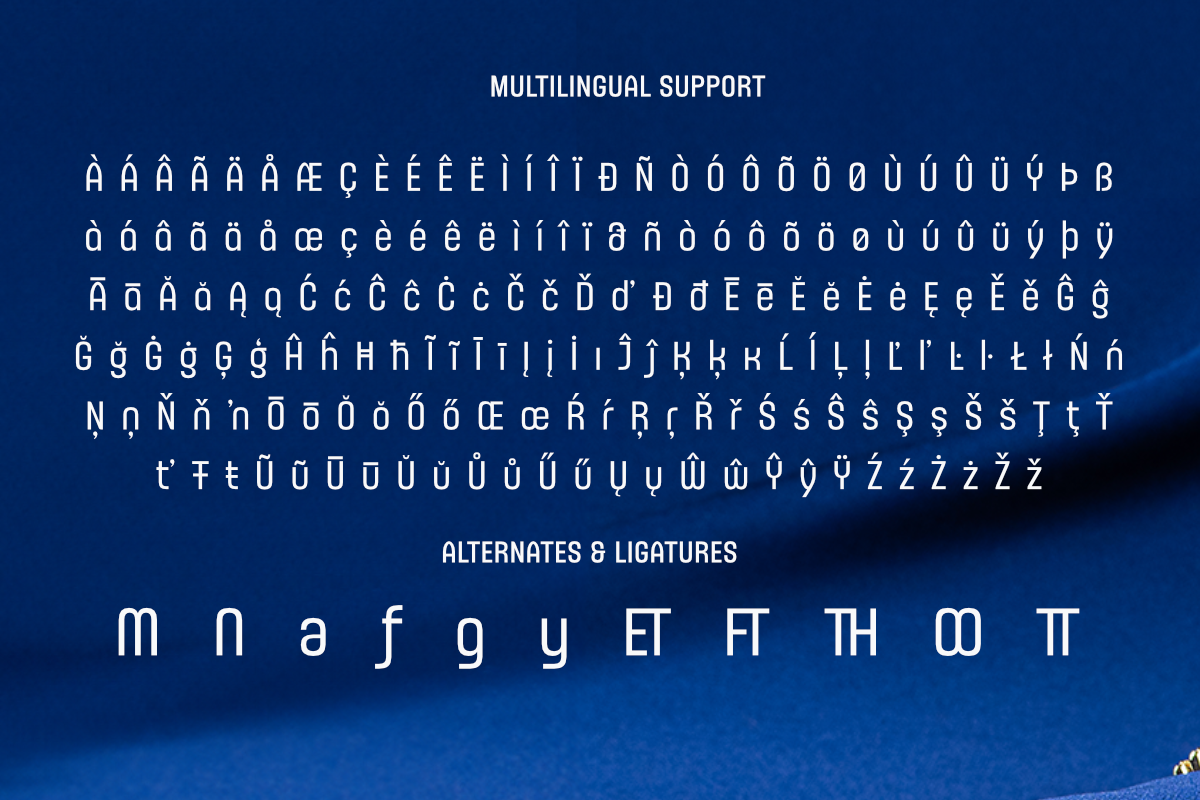 Kesradat - Sans Serif Family, a Sans Serif Font by Differentialtype (Photo 10 of 10)