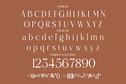 Bilifer - Modern Luxury Serif, a Serif Font by Qweera Studio (Thumbnail 11 of 12)