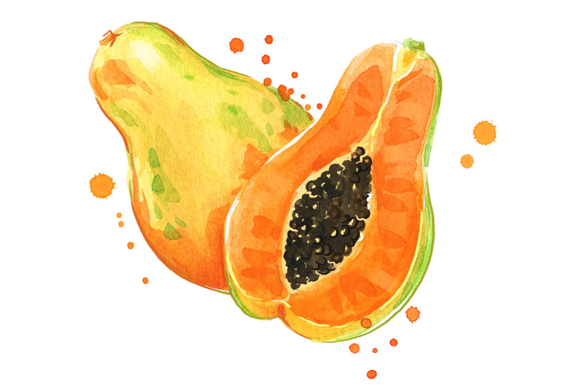 Set of orange foods, watercolor, a Food Illustration by Kamenuka (Photo 2 of 4)