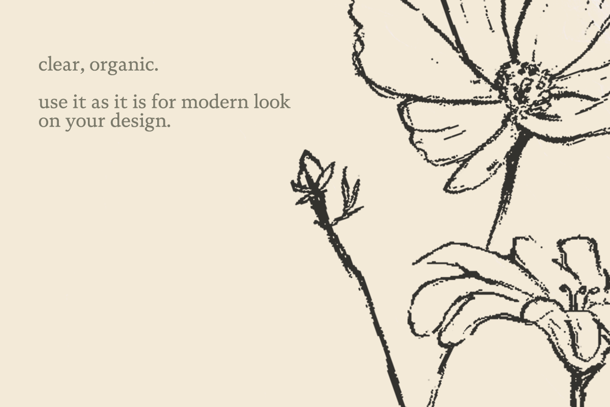 Sketchy Pencil Drawing Wildflowers, an Illustration by elpple (Photo 4 of 7)