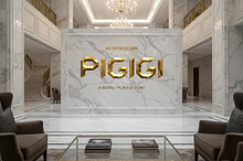 Pigigi - Sophisticated Modern Sans S