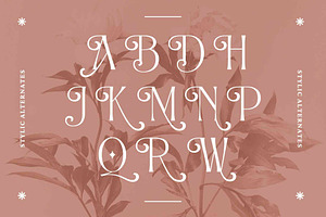 Alexang Display - Display Serif