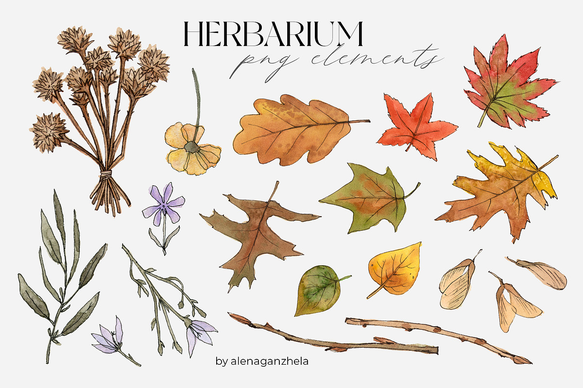 AUTUMN ESSENTIALS fashion watercolor, an Object Illustration by alenaganzhela (Photo 11 of 14)