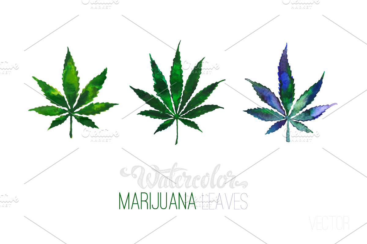 Weed. Stoner gadgets & accessories, a Healthcare Illustration by Margo Miller (Photo 27 of 45)