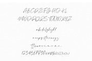 Anamortee // Modern Calligraphy Font, a Script Font by Vultype Co. (Thumbnail 9 of 13)