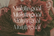 Royale Milano | Modern Serif Family, a Serif Font by Krismagraph (Thumbnail 8 of 14)