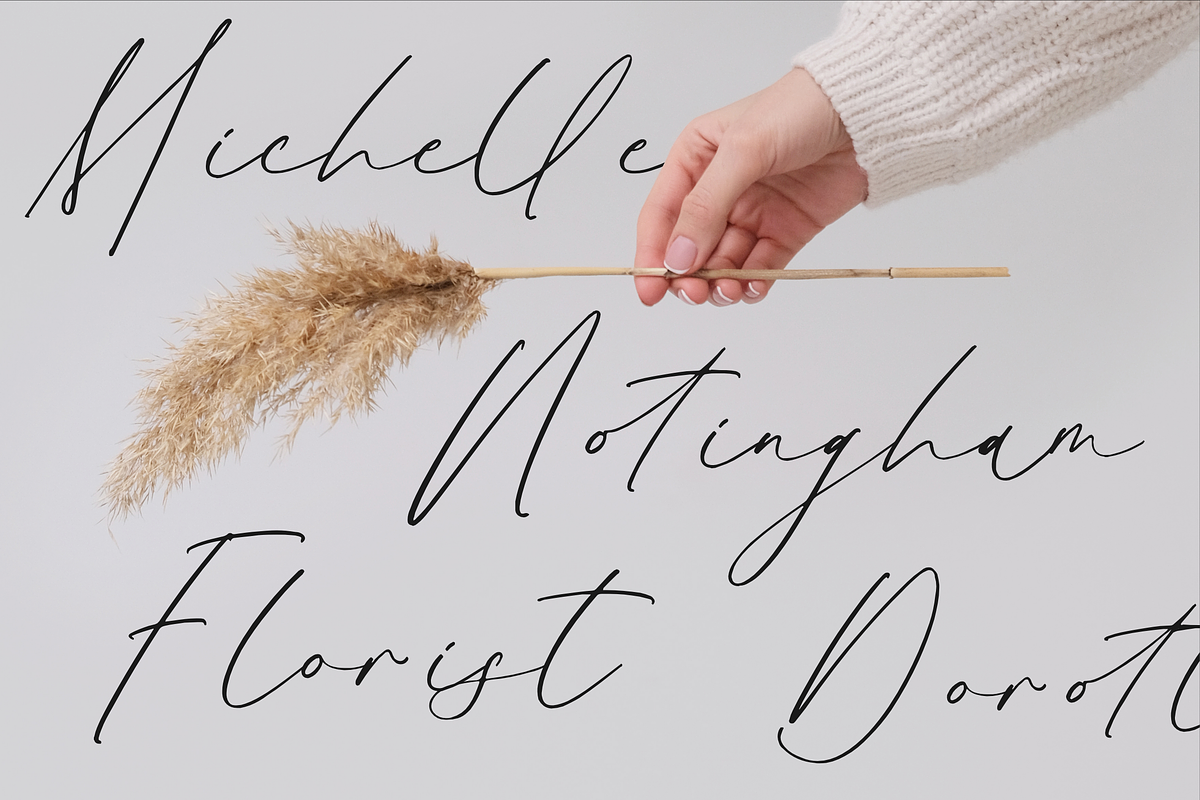 Gatenfield Mondilla Modern Signature, a Script Font by Storytype Studio (Photo 6 of 15)