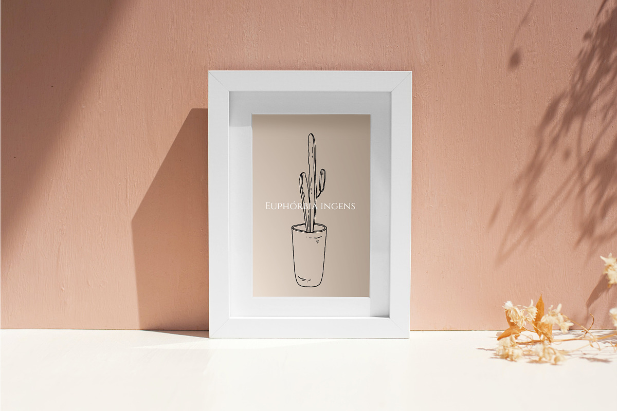 House Plants. Vector illustrations, a Decorative Illustration by iri-illustration (Photo 3 of 9)