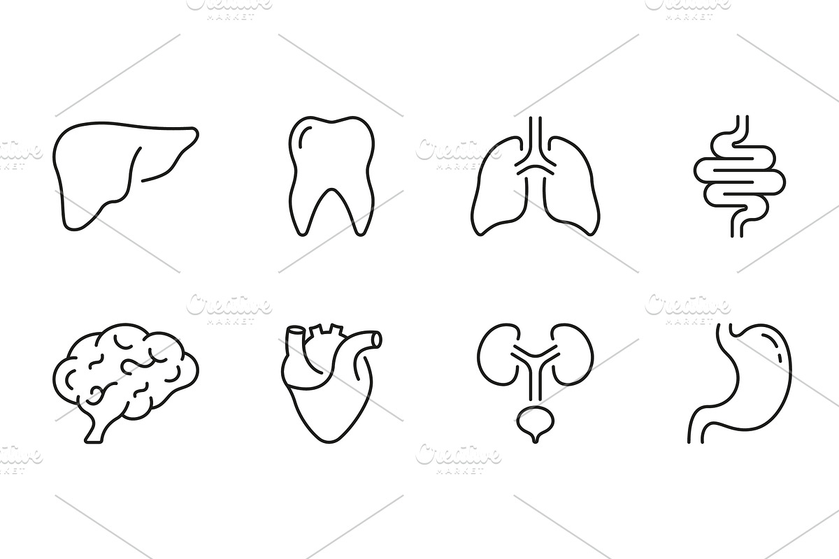 Internal Organs Icons, an Object Illustration by Gentle Studio