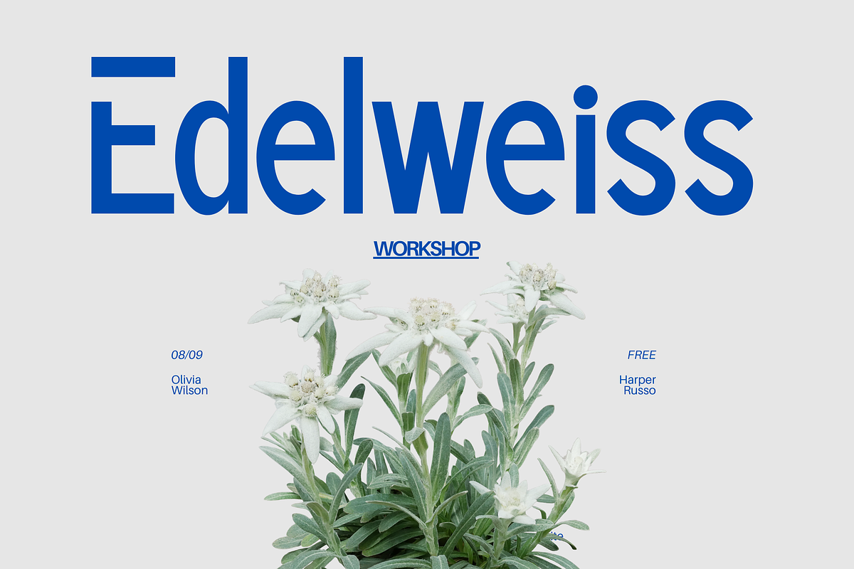 Brade - Modern Display Sans, a Sans Serif Font by Illushvara Design (Photo 5 of 10)
