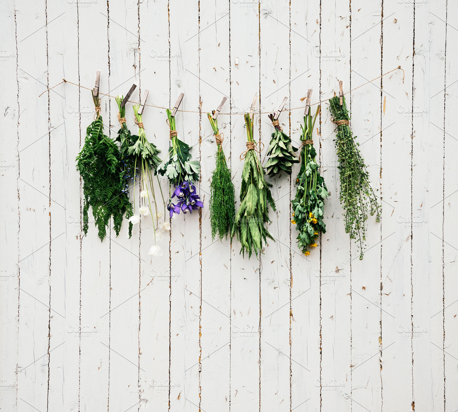 Medicinal herbs featuring background, dry, and flower, a Nature Photo by P&G