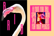 Joya Sans — Condensed Display Font, a Sans Serif Font by B:TYPE (Thumbnail 4 of 10)